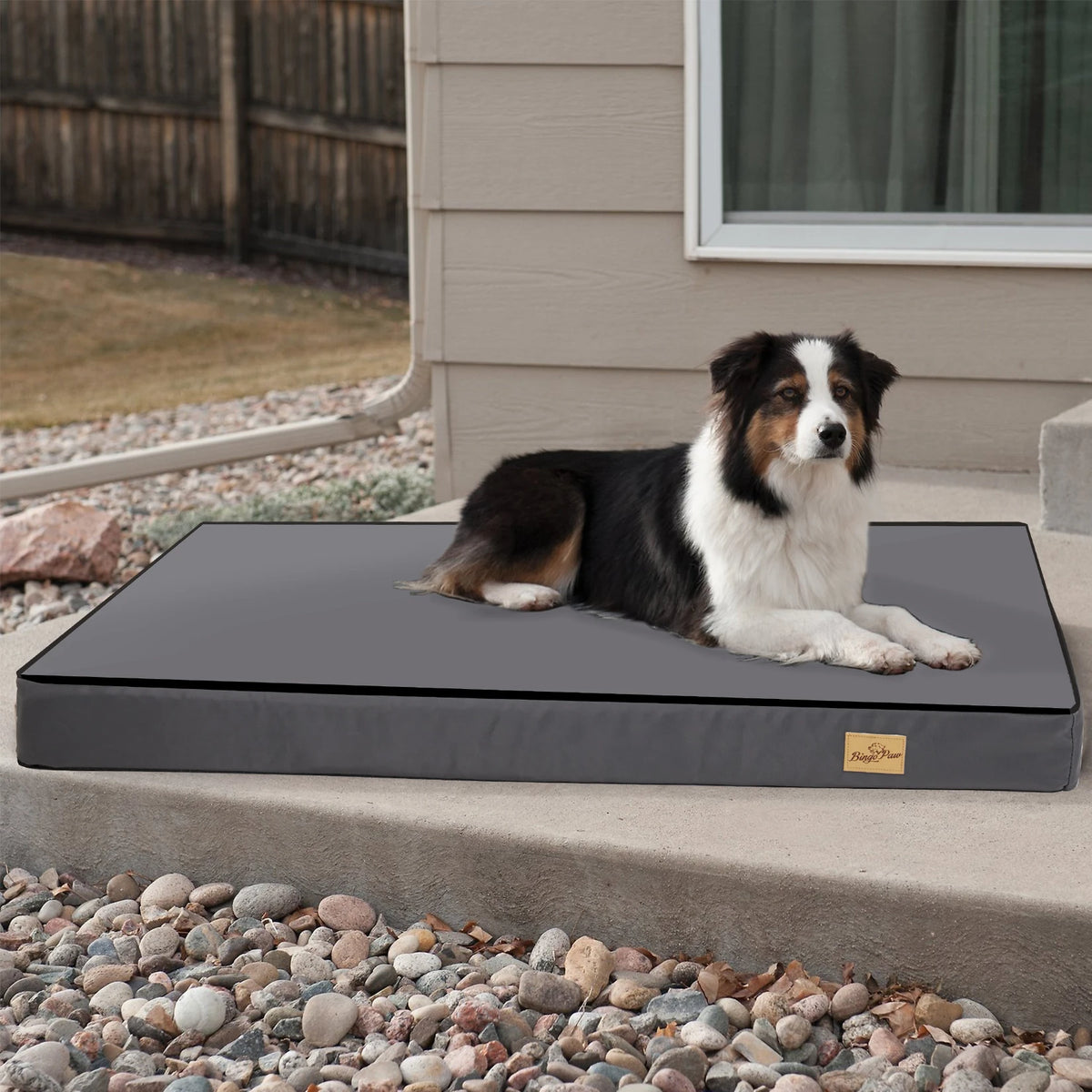Bingopaw Orthopedic Washable Dog Bed With Waterproof Lining