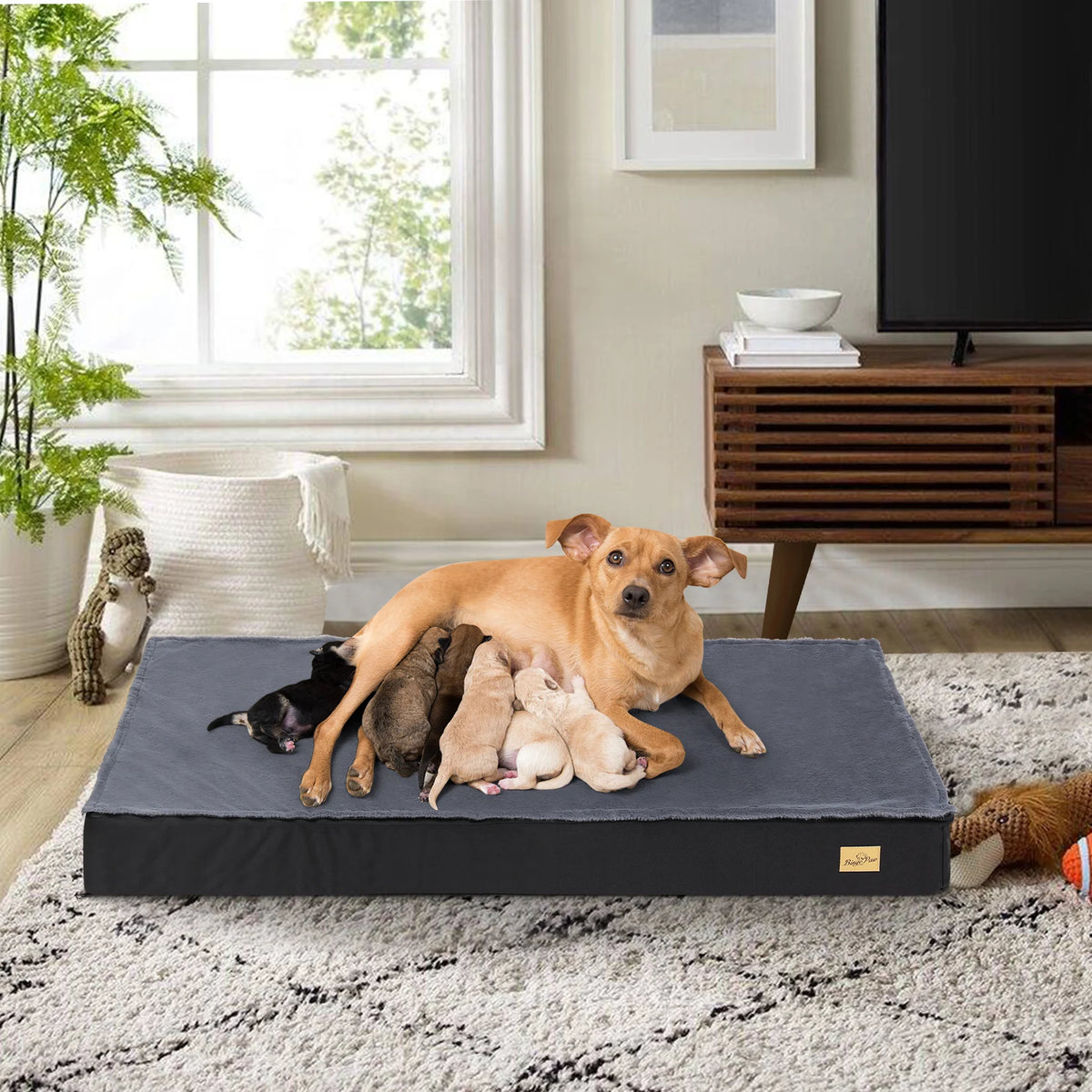 Bingopaw Orthopedic Washable Dog Bed With Waterproof Lining