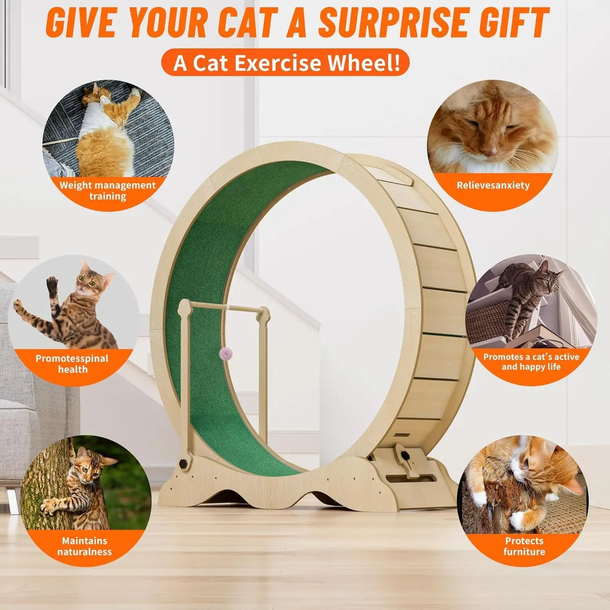 Studyset Indoor Cat Exercise Wheel With Carpeted Runway And Teaser