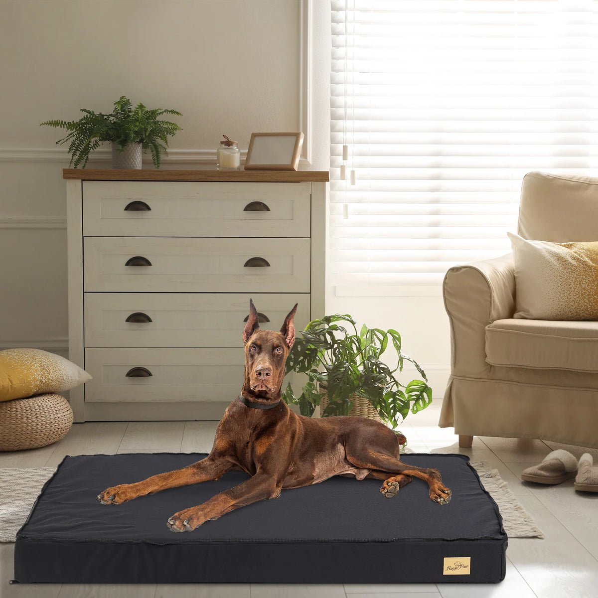 Bingopaw Orthopedic Washable Dog Bed With Waterproof Lining