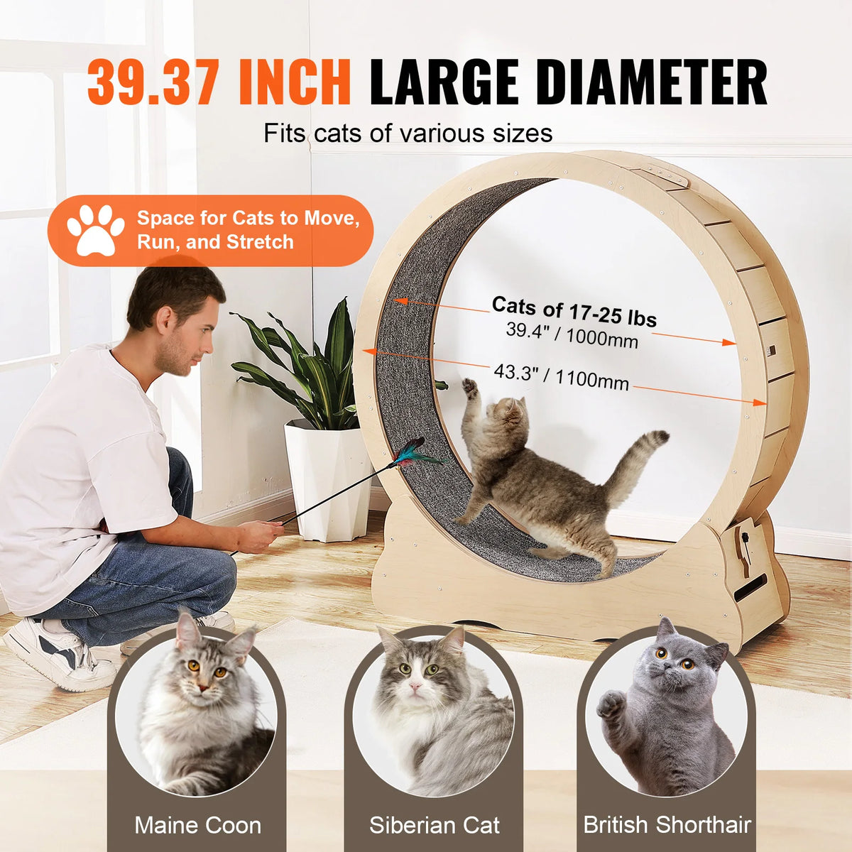 SucceBuy Wooden Cat Exercise Wheel Indoor Running Treadmill