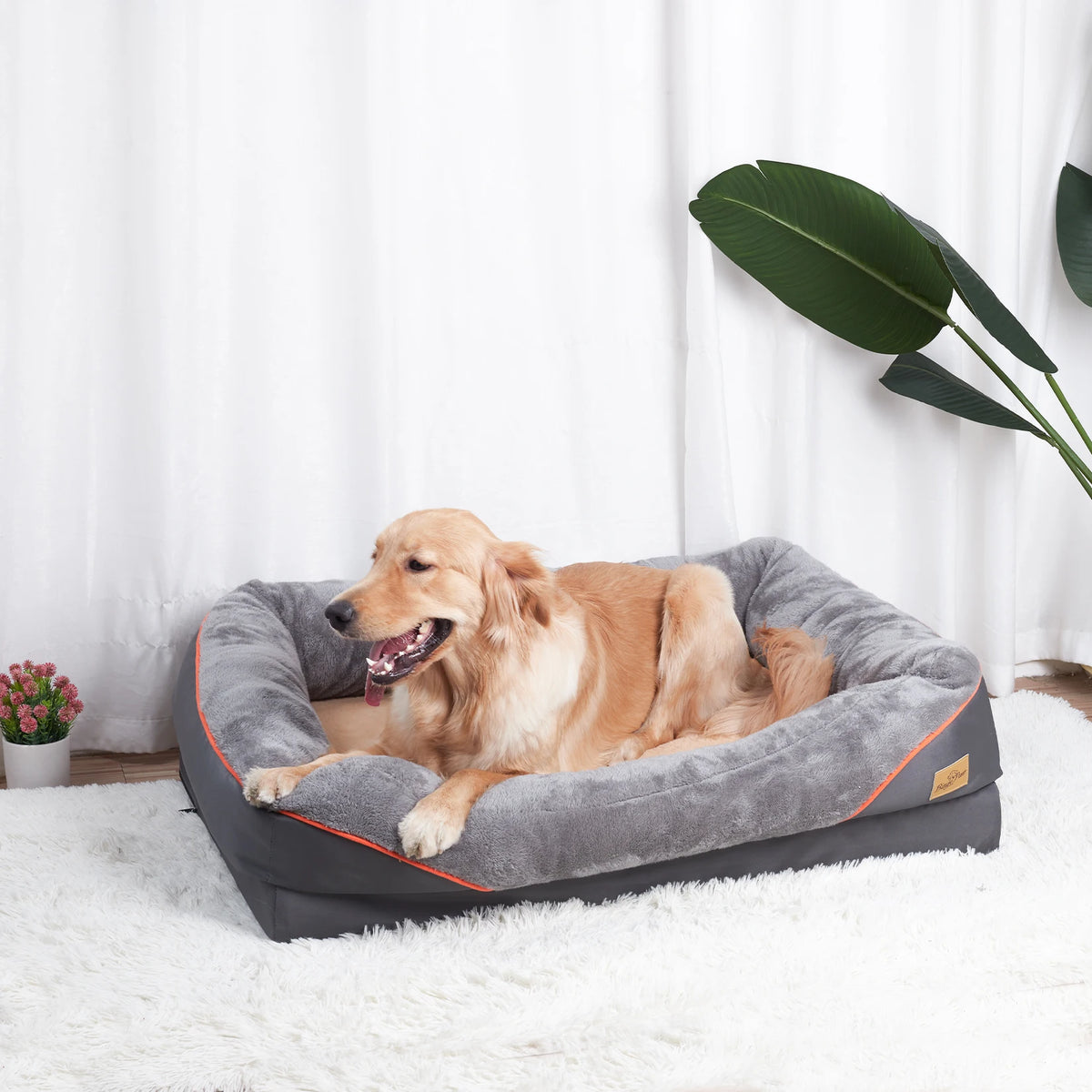 Bingopaw Premium Fleece Dog Bed With Removable Washable Cover